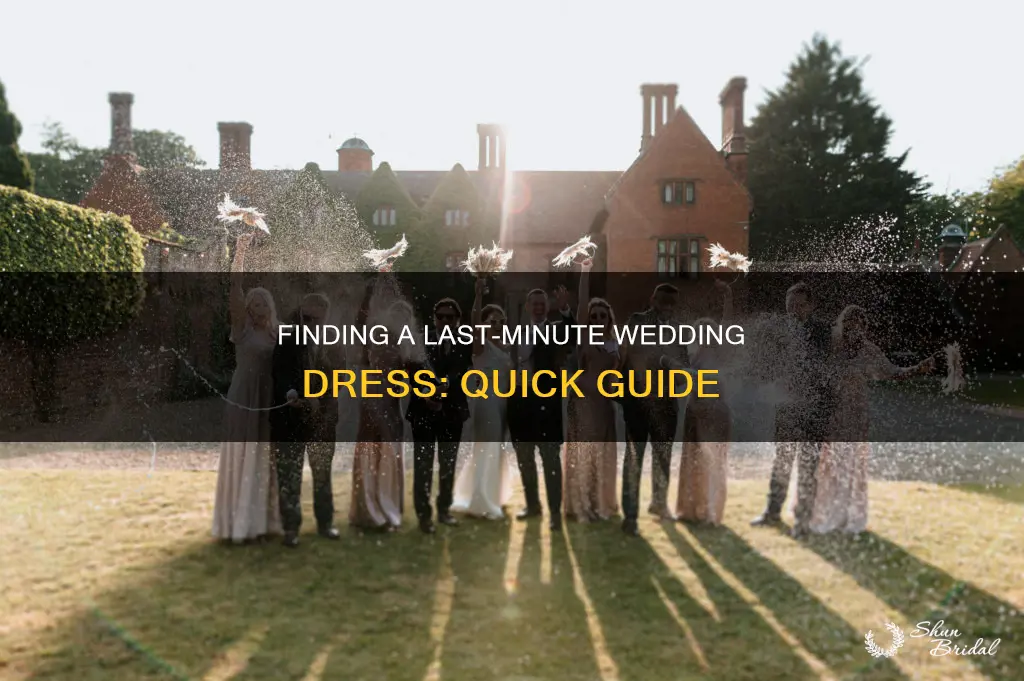 how to get a last minute wedding dress