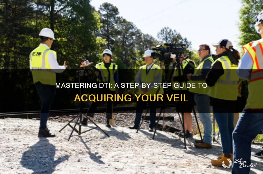 how to get a veil in dti