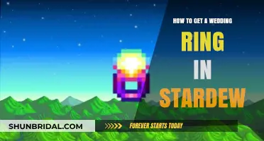Stardew: Guide to Getting a Wedding Ring