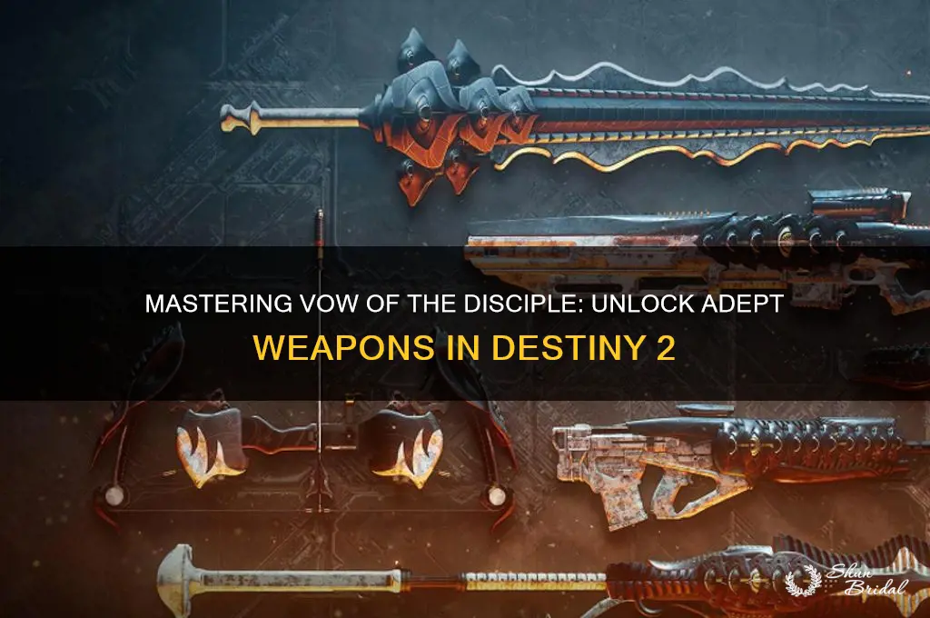 how to get adept vow of the disciple weapons