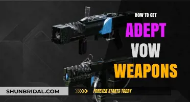 Unlocking Adept Vow Weapons: A Comprehensive Destiny 2 Guide