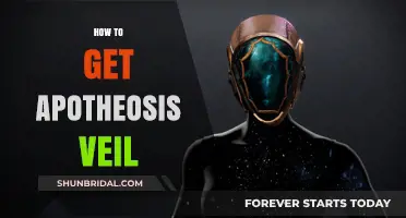Mastering Destiny 2: Ultimate Guide to Acquiring Apotheosis Veil