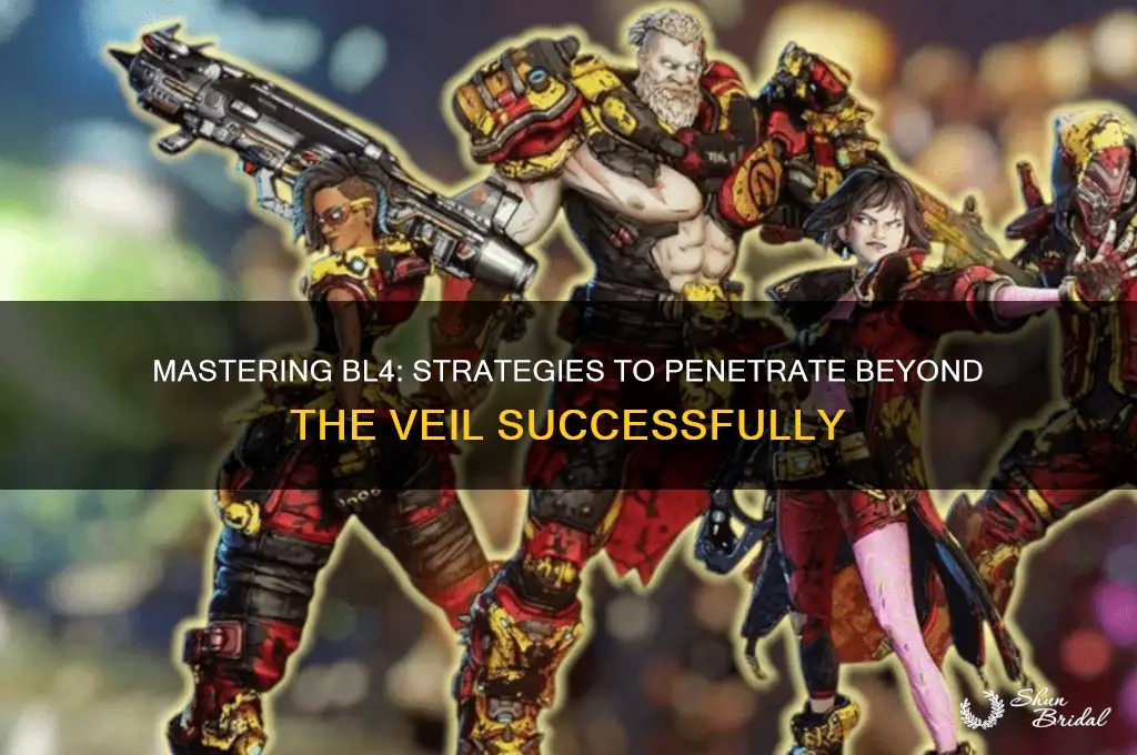 how to get beyond the veil bl4