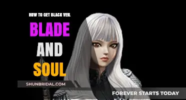 Mastering Black Veil Acquisition in Blade & Soul: A Comprehensive Guide