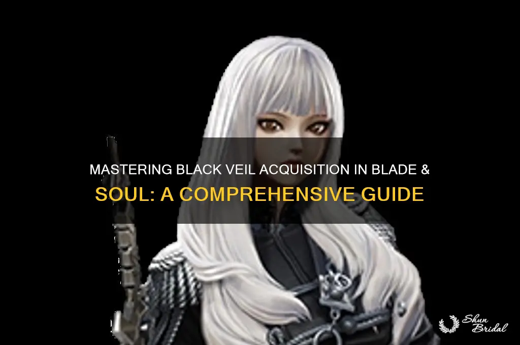 how to get black veil blade and soul