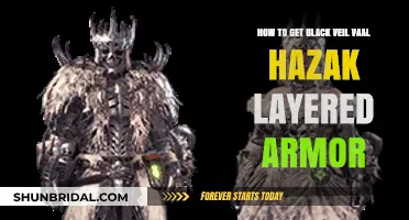 Mastering Black Veil Vaal Hazak: Guide to Layered Armor Acquisition