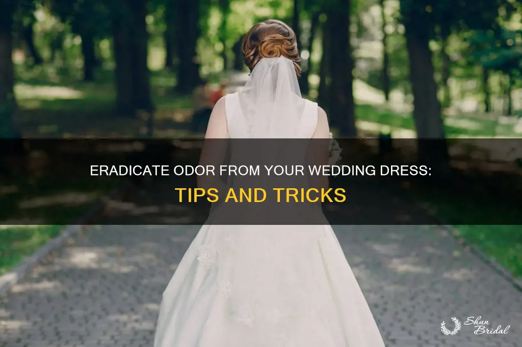 how to get bo smell out of wedding dress