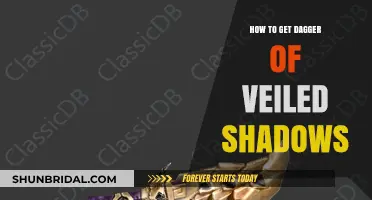 Mastering the Quest: How to Obtain the Dagger of Veiled Shadows