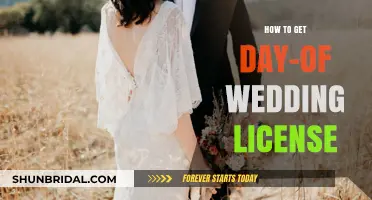 Last-Minute Wedding Planning: Securing Your Day-Of Marriage License