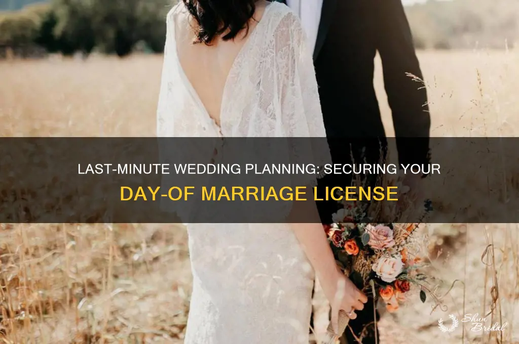 how to get day-of wedding license