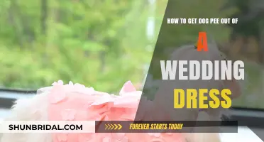 Wedding Dress Saviors: Removing Dog Pee Stains