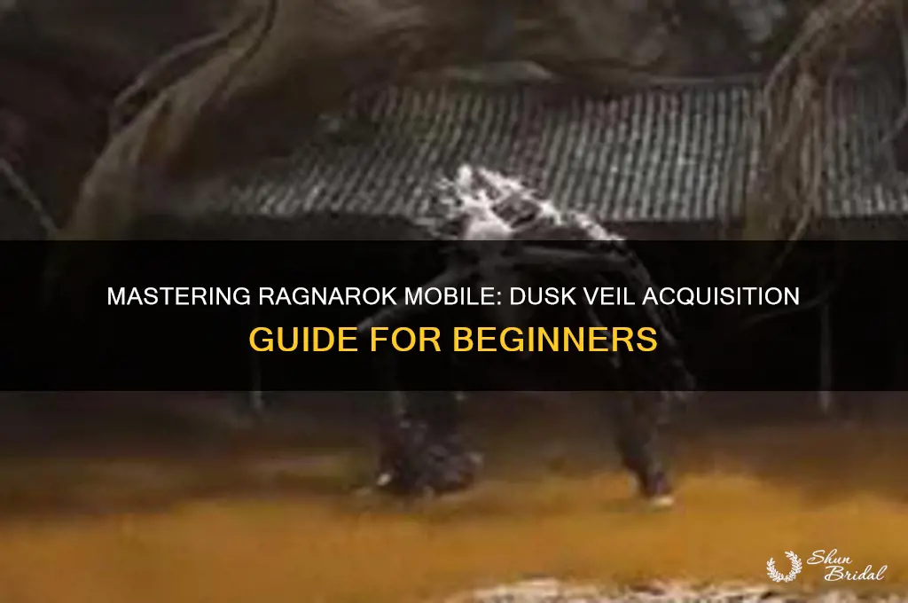 how to get dusk veil ragnarok mobile