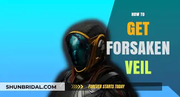 Mastering Forsaken Veil: Essential Tips to Obtain It in Destiny 2