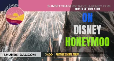 Disney Honeymoons: Unlocking Free Perks and Secrets to a Magical Getaway