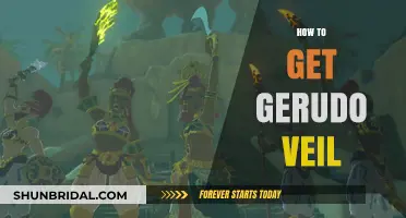 Unlocking the Gerudo Veil: A Step-by-Step Guide to Obtain It