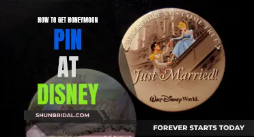 Get Your Disney Honeymoon Pin: Tips and Tricks