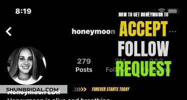 Honeymoon's Guide: Strategies to Secure Follow Request Acceptance