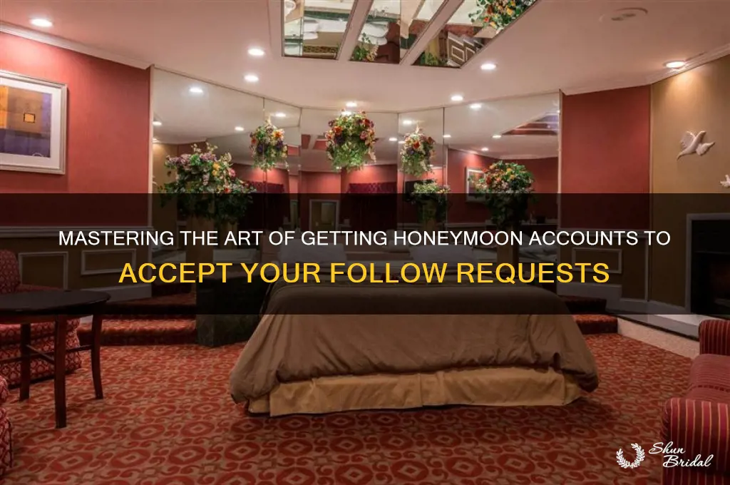 how to get honeymoon to accept follow request