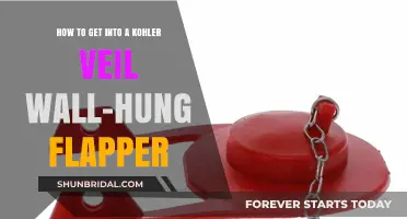 Kohler Veil Wall-Hung Flapper Repair: Step-by-Step Access Guide
