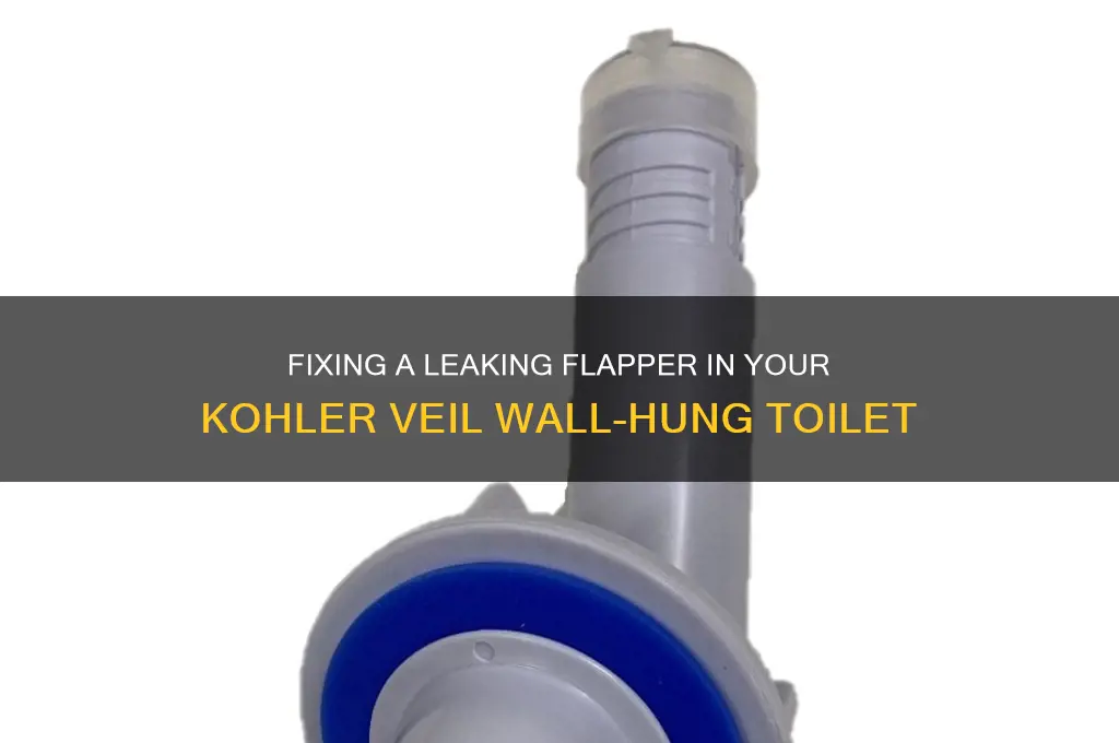 how to get into a koler veil wall-hung leaking flapper