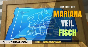 Exploring Mariana Veil Fisch: A Beginner's Guide to Getting Started