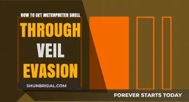 Mastering Veil Evasion: Securing Meterpreter Shells for Ethical Hacking