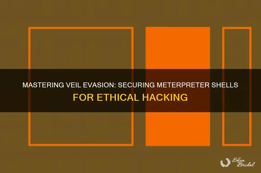 how to get meterpreter shell through veil evasion