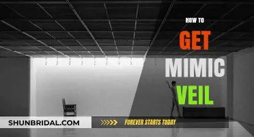 Mastering Mimic Veil: A Step-by-Step Guide to Acquire It