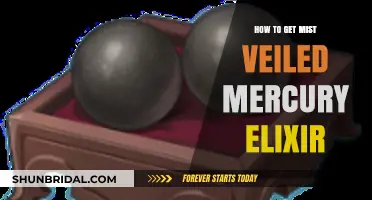 Crafting Mist Veiled Mercury Elixir: A Step-by-Step Guide to Success