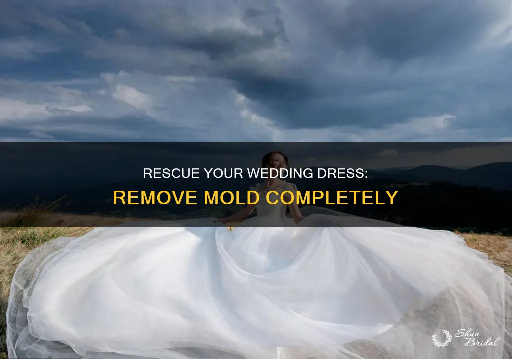 how to get mold out of a wedding dress