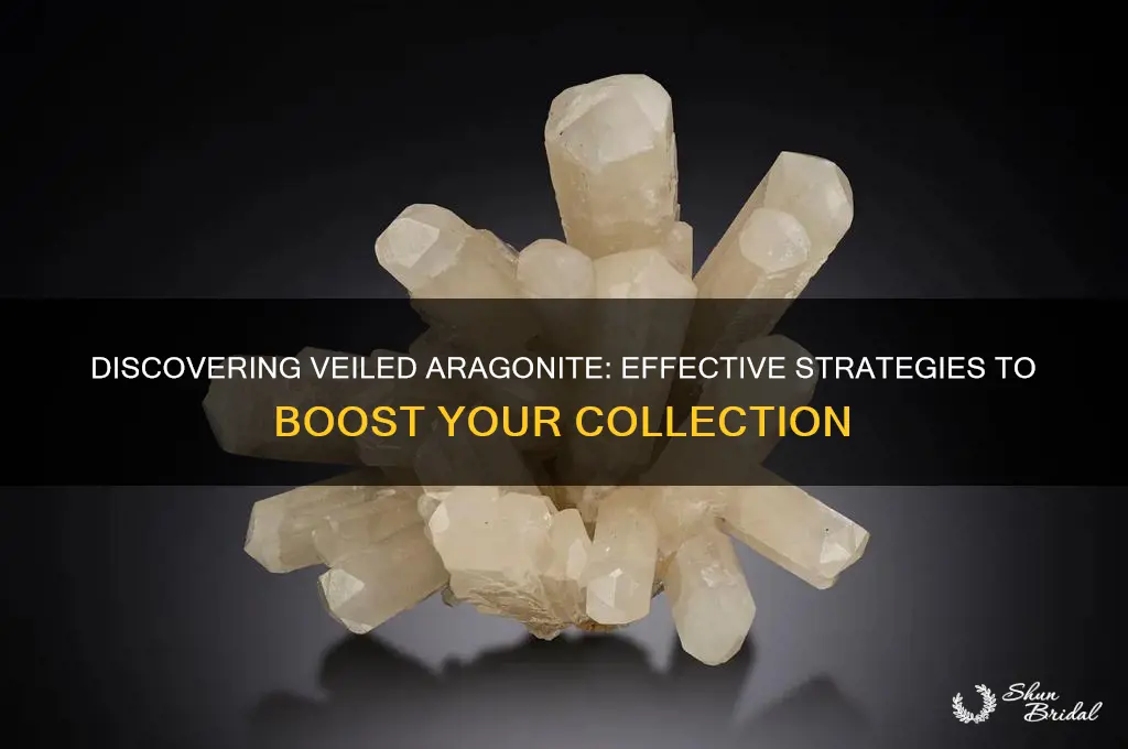 how to get more veiled aragonite