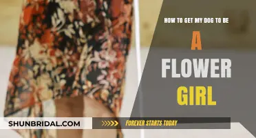 Training Your Dog to Be a Charming Flower Girl at Weddings