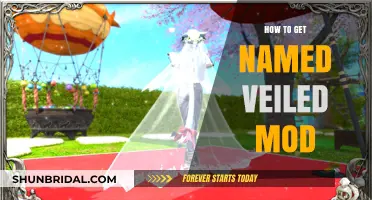 Mastering Veiled Mods: A Guide to Obtaining Named Veiled Mods