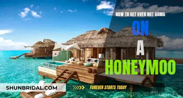 Honeymoon Blues: Moving on Without the Trip