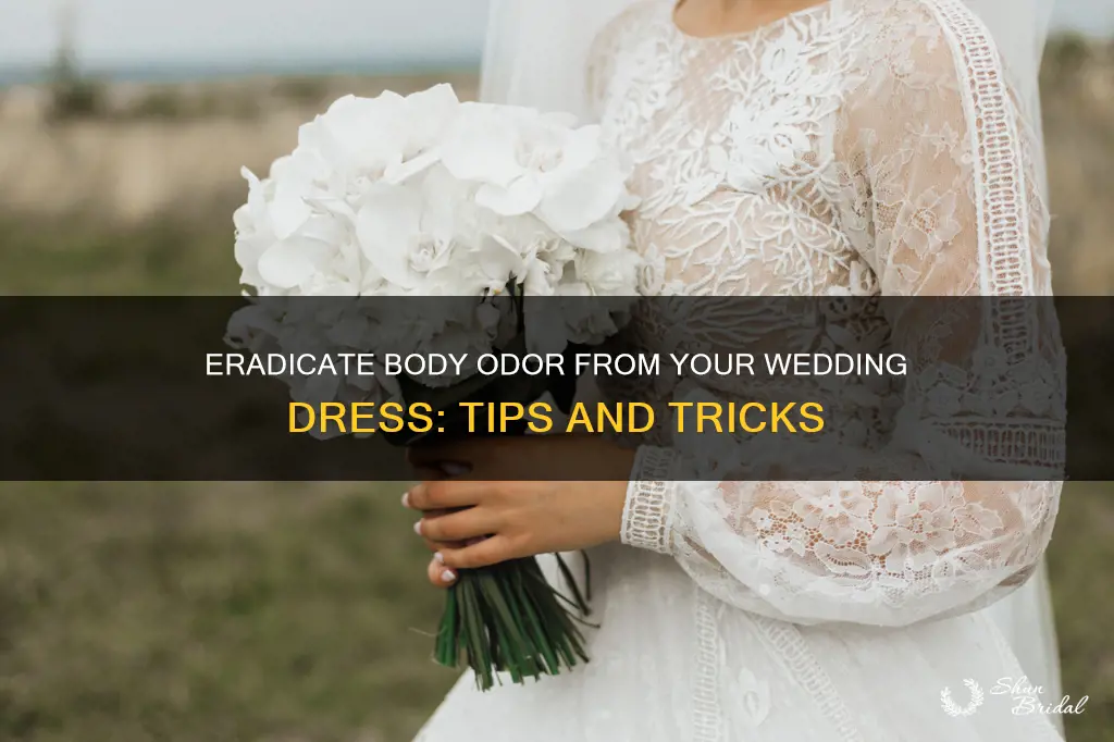 how to get rid of body odor from wedding dress