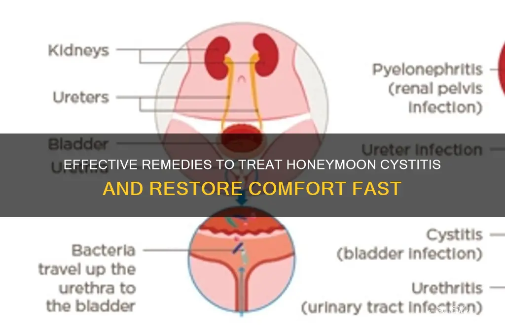 how to get rid of honeymoon cystitis
