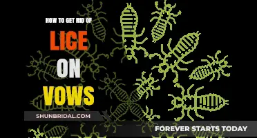 Effective Lice Removal Tips for Healthy, Beautiful Vows