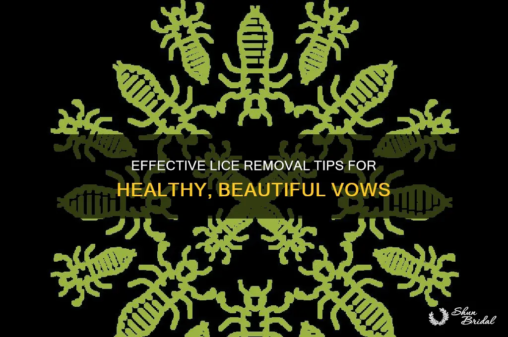 how to get rid of lice on vows