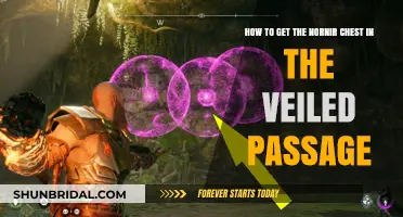 Unlocking the Nornir Chest in Veiled Passage: A Step-by-Step Guide