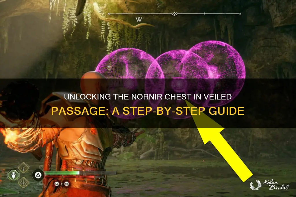 how to get the nornir chest in the veiled passage