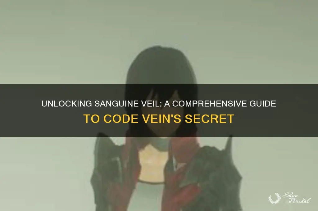 how to get the sanguine veil code vein