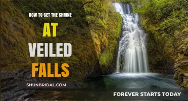 Discovering the Veiled Falls Shrine: A Step-by-Step Adventure Guide