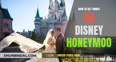 Honeymoon Magic: Disney Secrets for Couples