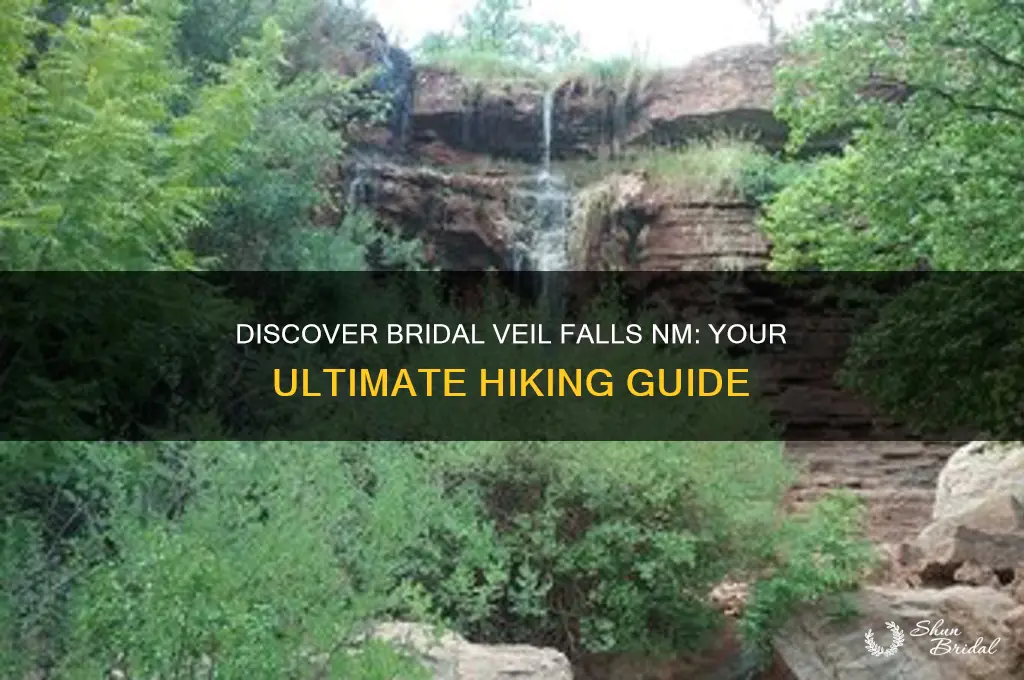 how to get to bridal veil falls nm