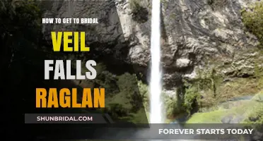 Discover Bridal Veil Falls Raglan: Your Ultimate Hiking Guide