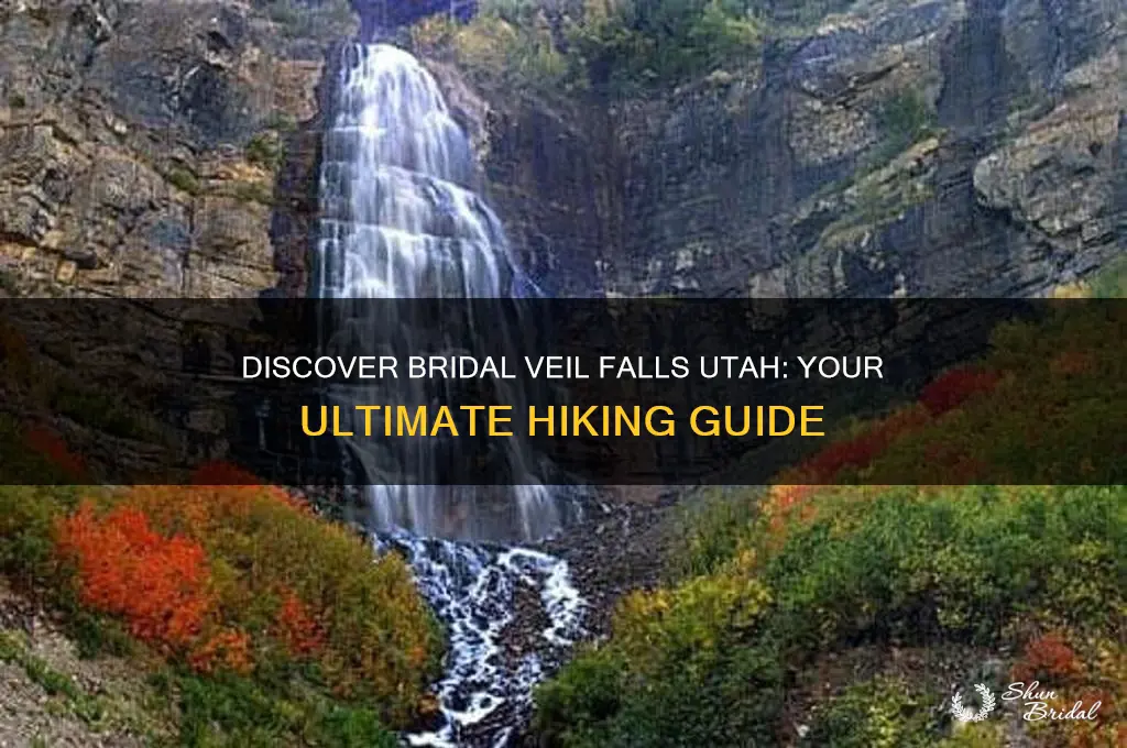 how to get to bridal veil falls utah
