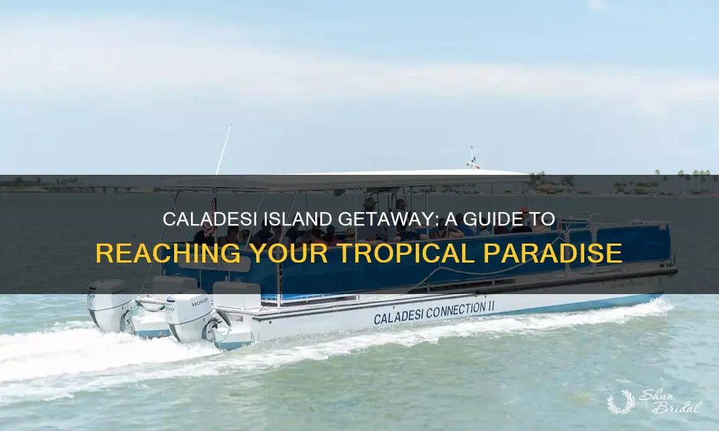 how to get to caladesi island from honeymoon island