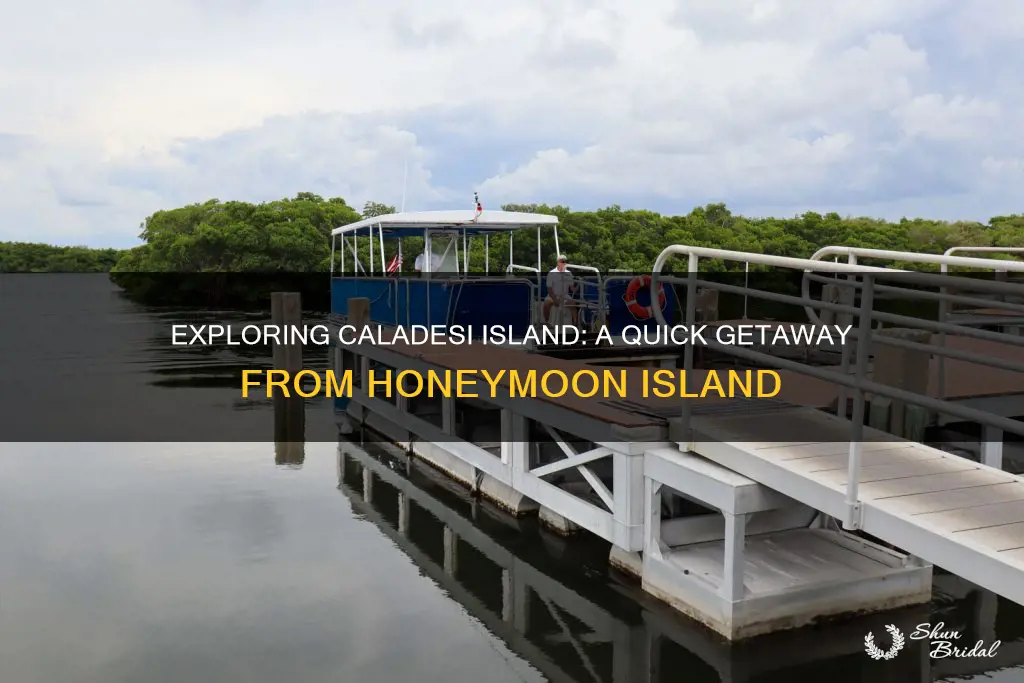 how to get to caladesi island from honeymoon island