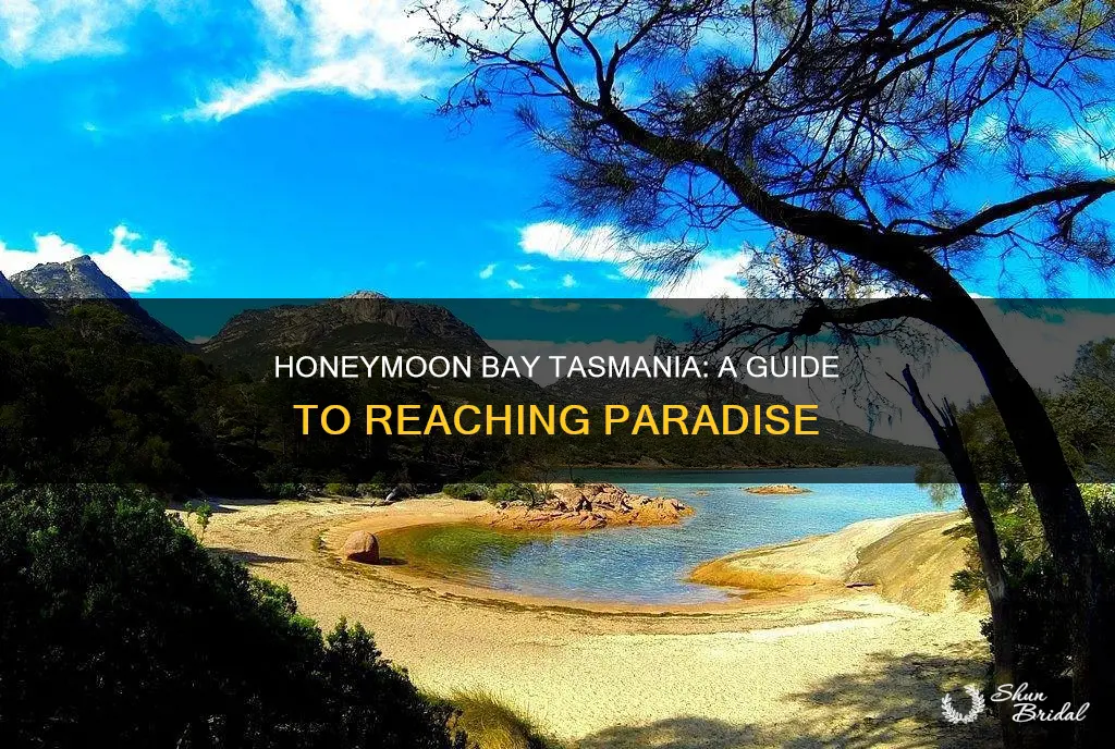 how to get to honeymoon bay tasmania