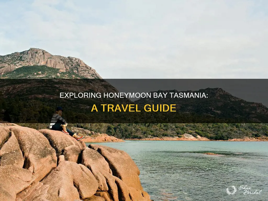 how to get to honeymoon bay tasmania